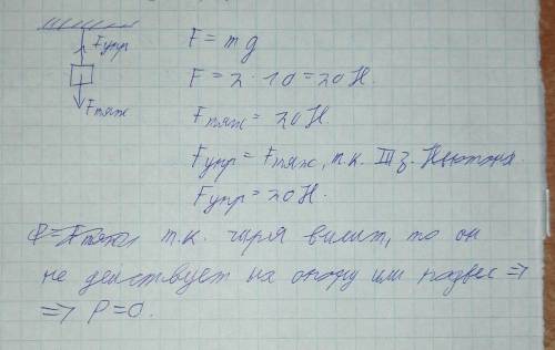 Определите модули сил, действующих на гирю массой m = 2 кг,которая висит неподвижно на лёгкой нити,