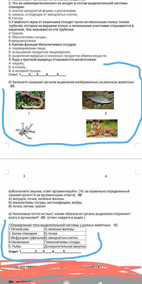 (7класс биология если напишете фигню бан или не правильно тоже бан) (18б) фото Что из нижеперечислен