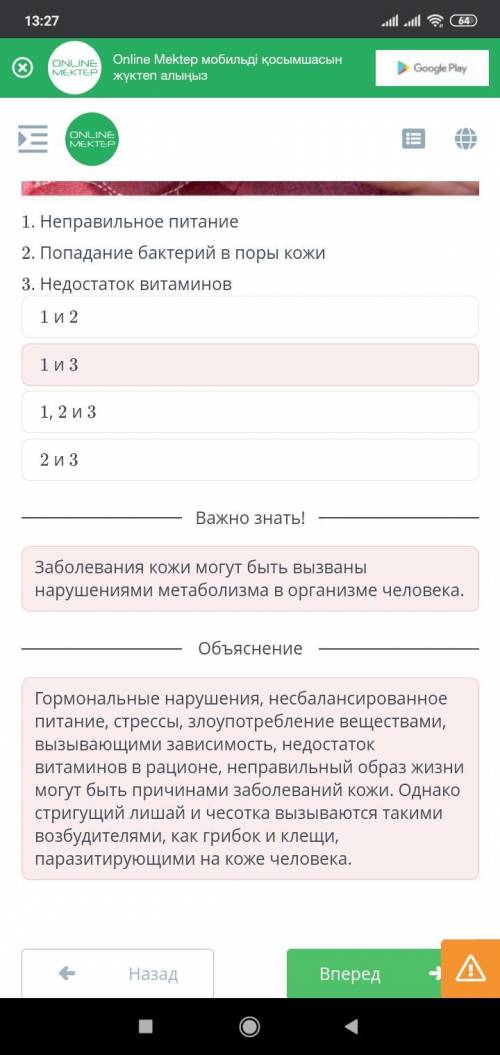 Причины и последствия кожных заболеваний (чесотки, лишая, угревой сыпи). Симптомы и меры профилактик