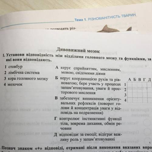 1. Установи відповідність між відділами головного мозку та функціями, за які вони відповідають. 1 ст