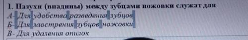 1. Пазухи (впадины) между зубцами ножовки служат для А- Для удобства разведениязубцовБ- Для заострен