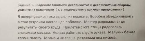 Выделите запятыми деепричастия и деепричасные обороты, укажите их графически.