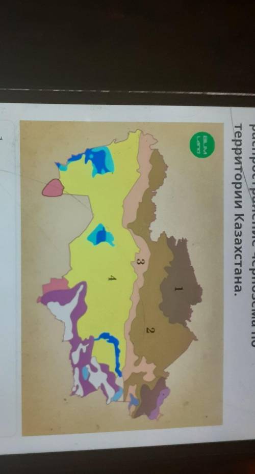 По почвенной карте определираспространение чернозема потерритории Казахстана.​