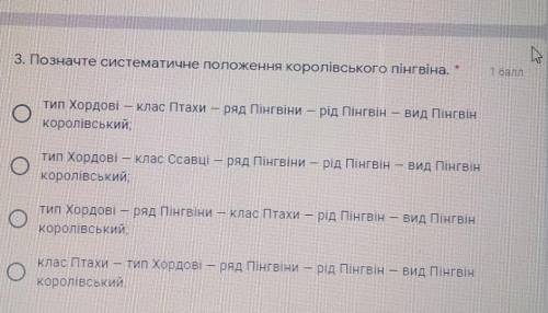 Позначте систематичне положення королівського пінгвіна.​