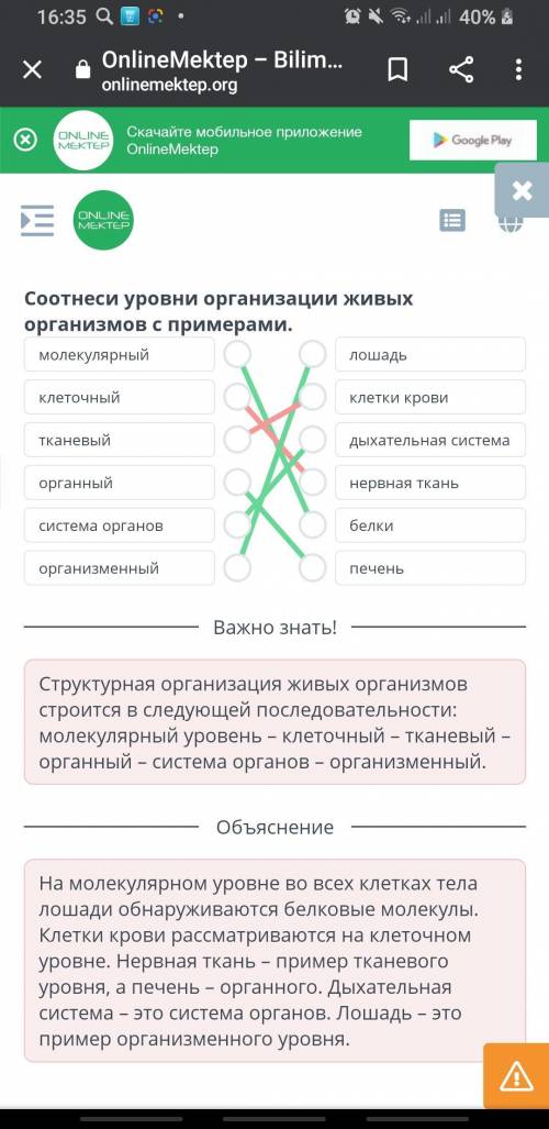 Соотнеси уровни организации живых организмов с примерами. молекулярный клеточный тканевый органный с