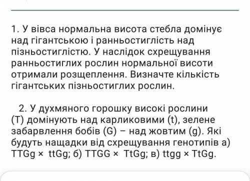 До ть будь ласка дуже потрібно здати ​ ​