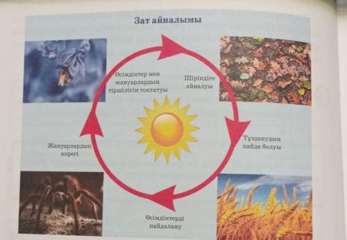 ОТВЕТЫ ДАЙТЕ А Я ВАМ МНОГО БАЛОВ НУ 50Б Зат айналымы MenӨсімдіктержануарлардыңтіршілігін тоқтатуыlip