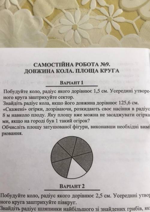 ть рішити тільки про огірки та про площу останнє і перед останнє