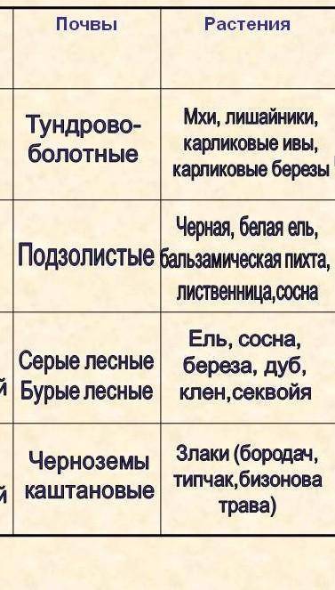 Заполните таблиця бистрей​