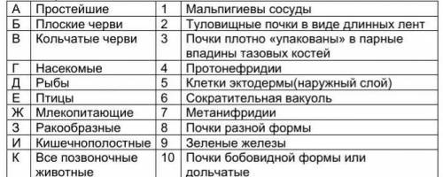 Выполните задание на соответствие. Каждой группе животных подберите соответствующее описание органов