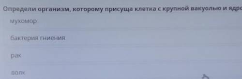 Определи организм которая присуща Клетка с крупной бакулиной и ядром НА ПРАВИЛЬНЫЙ ОТВЕТ ПОДПИШУСЬ ​