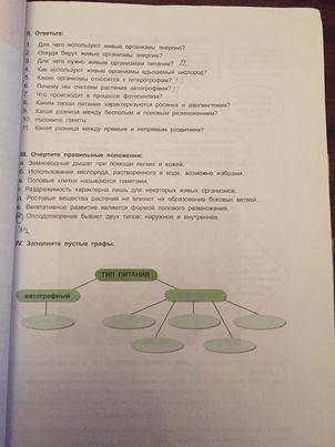 Сделать Сегодня очень занят надо сегодня сделать