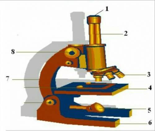 Установи соответствие между цифрами и частями микроскопа: ТубусОкулярОбъективЗеркало Винты настройки
