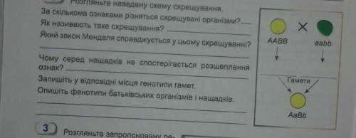 ДАЮ 15 ЗА ОДИН ВОПРОСтолько опишіть фенотипи батьеівських організмів і нащадків​