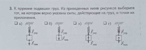 3. К пружине подвешен груз. Из приведенных ниже рисунков выберите Тот, на котором верно указаны силь