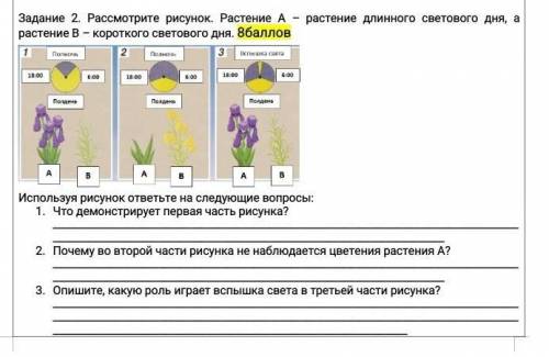 Что демонстрирует первая часть рисунка? Почему во второй части рисунка не наблюдается цветения расте