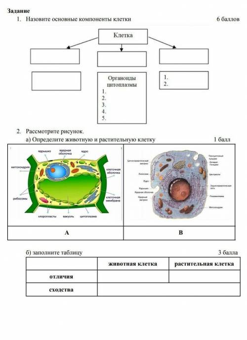 ответьте на первое и второе задание​(не обращайте внимание на то что на картинке написаны )