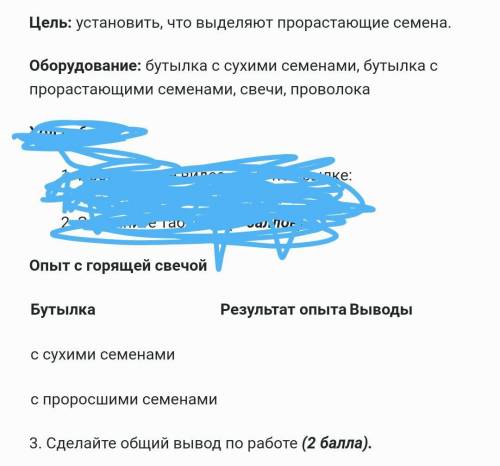 Бутылка Результат опытаВыводыс сухими семенами  с проросшими семенами  3. Сделайте общий вывод по ра