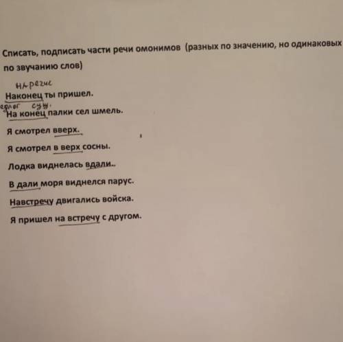 выполнить задание по русскому по теме омонимы