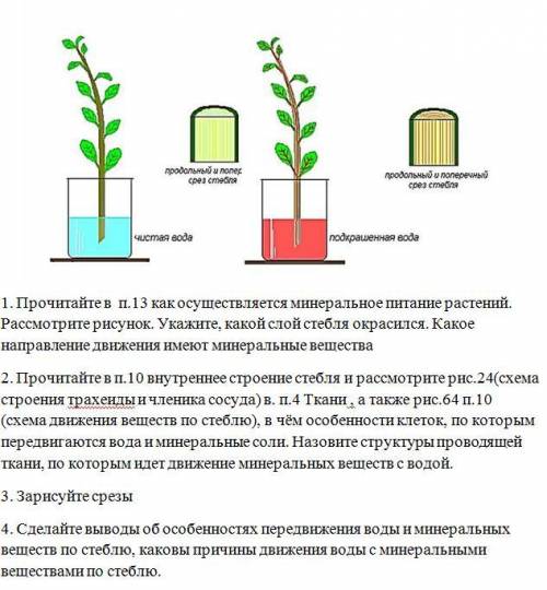 УМОЛЯЮ. (БОЛЬШЕ НЕТУ) . МЕНЯ РОДИТЕЛИ РУГАЮТ, УМОЛЯЮ