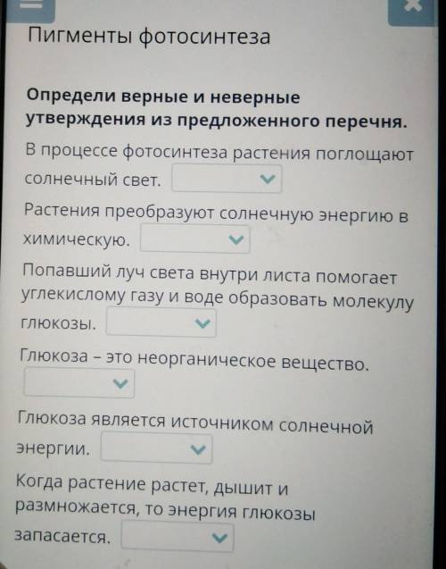 Х Пигменты фотосинтезаОпредели верные и неверныеутверждения из предложенного перечня.В процессе фото