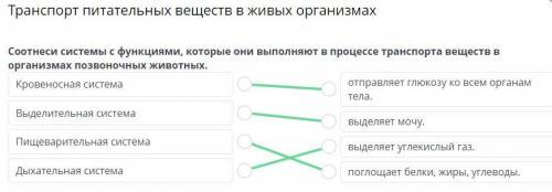 Анспорт питательных веществ в живых организмах тнеси системы с функциями, которые они выполняют в пр