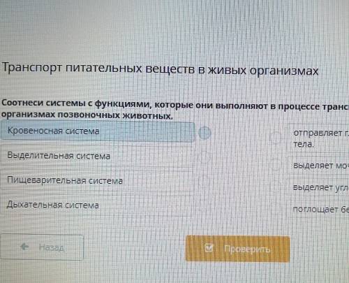 Анспорт питательных веществ в живых организмах тнеси системы с функциями, которые они выполняют в пр