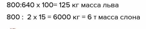 Максимальная масса белого медведя 800 кг, что составляет 2 15симальной массы индийского слона или 64