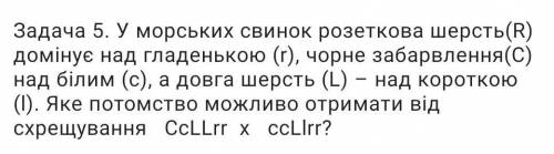 Задачі на дигібридне схрещування​