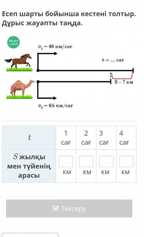 Есеп шарты бойынша кестені толтыр. Дұрыс жауапты таңда.