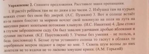 Упражнение 2. Спишите предложения. Расставьте знаки препинания.​