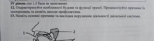 А охарактеризуйте особливості будови та функціі трахеї .проаналізуйте причини їх захворювань та назв