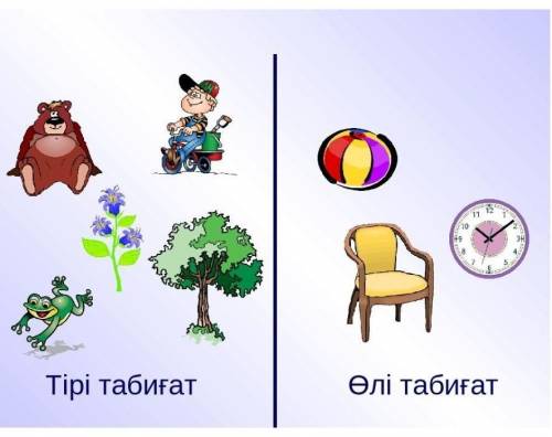 1. Тірі ағзалардың өлі ағзаданайырмашылығы неде? 2. Тірі​