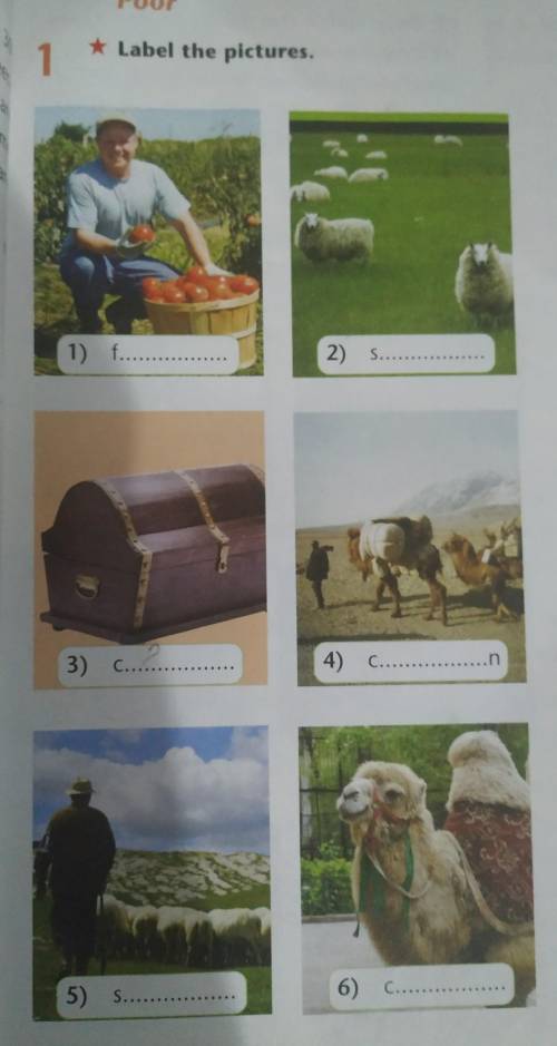 1 * Label the pictures.1) f2) S...3) C..4) C5) Samen6) C​