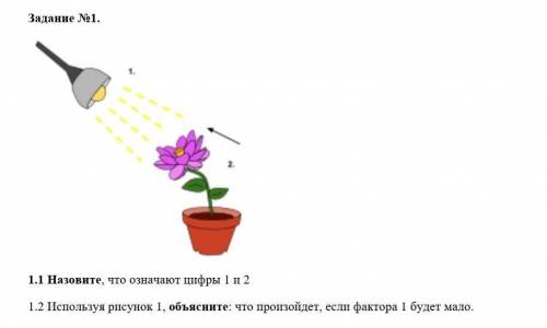 Задание 1. 1.1 Назовите, что означают цифры 1 и 2 1.2 Используя рисунок 1, объясните: что произойдет