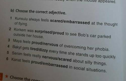 Ех 3 в) Choose the correct adjective 1.Kunsulu always feels scared /embarrassedat the thought of fly