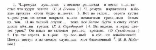 271.Спишите предложения, вставьте пропущенные буквы и расставь- те недостающие знаки препинания, Наз