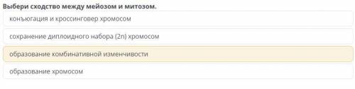 РЕБЯТ Выбери сходство между мейозом и митозом.