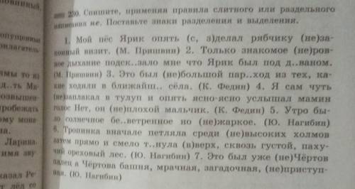 Спишите, применяя правила слитного или раздельного написание НЕ. Поставьте знаки разделения и выделе