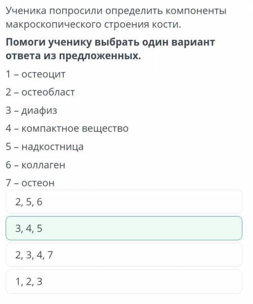 Ученика попросили определить компоненты макроскопического строения кости ученику выбрать один вариан