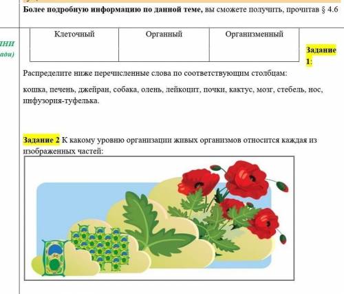 Более подробную информацию по данной теме, вы сможете получить, прочитав § 4.6 ВЫПОЛНИ (в тетради) К