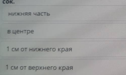 Определи место на хроматографической бумаге, куда капают растительный сок.1)НИЖНЯЯ часть2)В центре3)