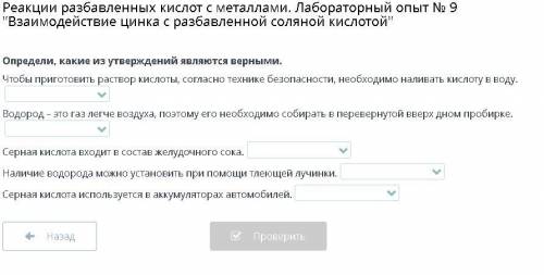 Реакции разбавленных кислот с металлами. Лабораторный опыт № 9 Взаимодействие цинка с разбавленной