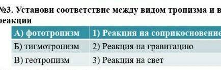 Установи соответствие между видом тропизма и видом реакции.​