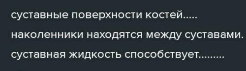 Выберите верные утверждения о строении суставов