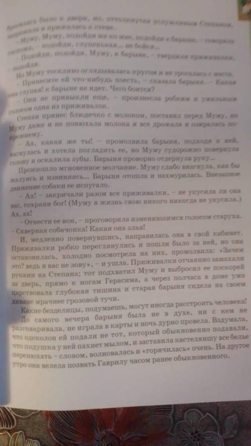 Выявление проблем. Их пояснение. Определение передачи идей. Их пояснение с наличием цитат. Определен