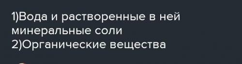 Напишите, какие вещества передвигаются и как: а. По сосудам древесиныb. По ситовидным трубкам луба​