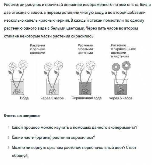 Только не списываете из интернета