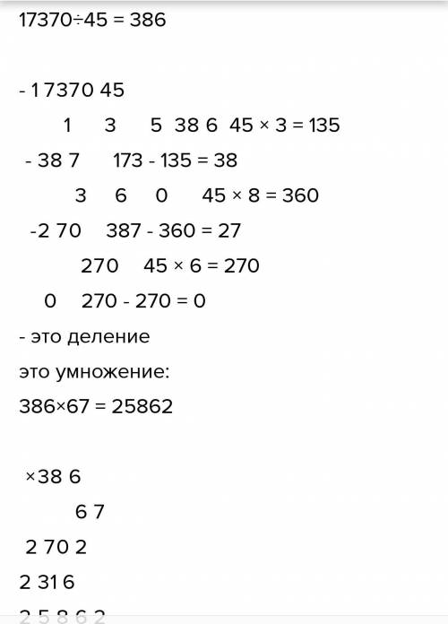 17370:45×67 Решить действия в столбик​