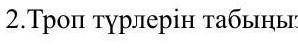 Троп түрлерін табыңыз, мысал келтіріңіз​